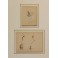 2 études humoristiques représentant des insectes gouache entre 1910 et 1920